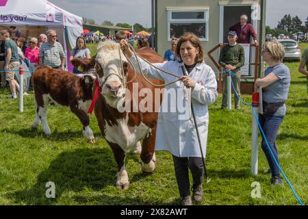 Bandon Agricultural Show, Castlebernard, Bandon, maggio 2024 Foto Stock