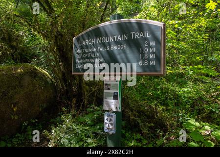 Multnomah Falls, una cascata mozzafiato di 620 metri, si trova nella gola del fiume Columbia lungo la storica autostrada 30, appena fuori Portland, Oregon Foto Stock