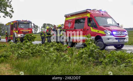 Schwere Gewitter und Unwetter erreichen in den Nachmittagsstunden Nord- und Ostdeutschland. Besonders nördlich von Berlin regnete es extrem stark. Die Sicht betrug teilweise nur wenige Meter, auf der A 10 e 11 herrschte Aquaplaning. Auf den Straßen sammelte sich das Wasser mehrere Zentimeter hoch. Auch erste Feuerwehreinsätze waren zu verzeichnen. In Schorfheide auf dem Hubertusweg stürzte ein Baum in eine Freileitung. Die Feuerwehr musste den Baum mit Kettensägen zerkleinern und entfernen. Weitere Starkregen und Unwettergefahr besteht nella regione dieser in den nächsten Stunden. Umgeknickten Foto Stock