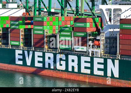 Los Angeles, California, USA - 12 gennaio 2024: Container impilati sulla Ship Ever Fair, gestita dal gruppo Evergeen Foto Stock