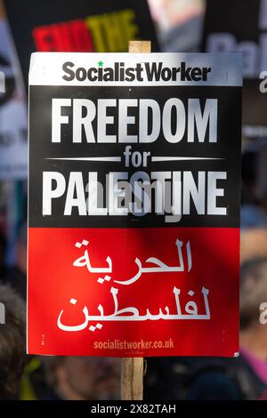 Londra, Regno Unito - 11 novembre 2023: Cartello libertà per la Palestina al raduno di protesta pro-palestinese nel centro di Londra, Regno Unito. Foto Stock