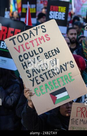 Londra, Regno Unito - 11 novembre 2023: Manifestante con un cartello in mano al raduno di protesta pro-palestinese nel centro di Londra, Regno Unito. Foto Stock