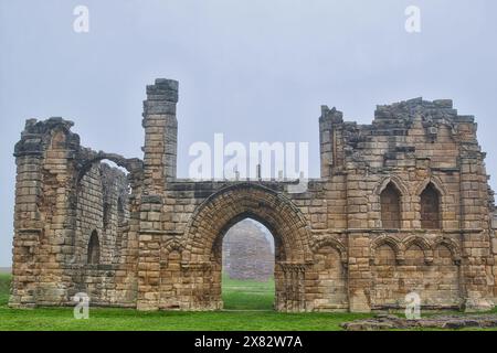 Una scena nebbiosa di antiche rovine in pietra con porte e finestre ad arco, circondate da erba verde. Foto Stock