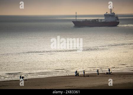 Abendstimmung am Nordseestrand bei Zoutelande, Zelanda, Angler, Spaziergänger, Wellenbrecher, Frachtschiff, Niederlande Nordseestrand *** atmosfera serale sulla spiaggia del Mare del Nord vicino a Zoutelande, Zelanda, pescatore, camminatore, frangiflutti, nave da carico, spiaggia del Mare del Nord dei Paesi Bassi Foto Stock