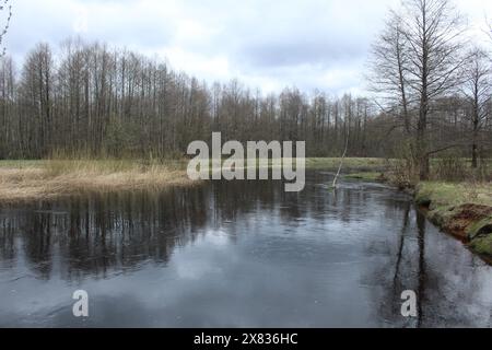 Paesaggio autunnale, fiume, foresta, cielo grigio sulla riva del fiume. Cupo paesaggio autunnale grigio. Foto Stock