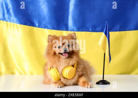 Grazioso cane della Pomerania con le cuffie sul tavolo contro la bandiera dell'Ucraina Foto Stock