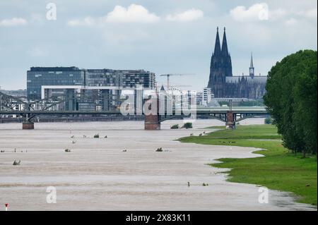 Vista del panorama di Colonia dal Poller Wiesen allagato vicino al ponte sud durante le inondazioni di Colonia nel maggio 2024 Foto Stock