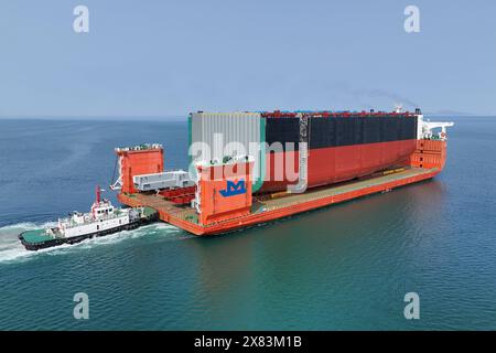 YANTAI, CINA - 22 MAGGIO 2024 - Una nave semi-sommergibile carica di sezioni di scafo di una nave portacontainer molto grande si dirige verso l'assemblaggio finale Foto Stock