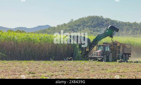 immagine ravvicinata di una raccoglitrice di canna da zucchero e di una canna da raccolta del trattore Foto Stock