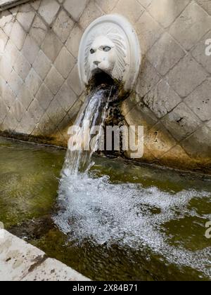 Vista parziale del grande gargoyle a quadri sotto forma di testa di leone testa sotto bacino di raccolta della fontana dei leoni fontana veneziana Foto Stock