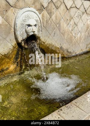 Vista parziale del grande gargoyle a quadri sotto forma di testa di leone testa sotto bacino di raccolta della fontana dei leoni fontana veneziana Foto Stock