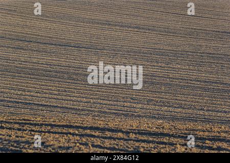 Arato, piantato e Hilling Rows Black-Earth Field. Grana del terreno. Foto Stock