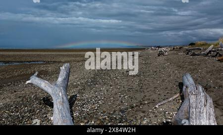 Driftwood si trova in primo piano su una spiaggia di stoney. Un arcobaleno è alla fine della spiaggia, contro un cielo grigio tempestoso. Foto Stock