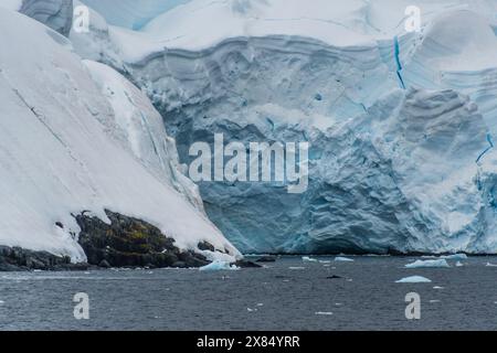 Dettaglio dei massicci iceberg e ghiacciai della Penisola Antartica. Immagine scattata vicino al passaggio Graham. Una megattera, Megaptera novaeangliae, si sta tuffando in primo piano. Foto Stock