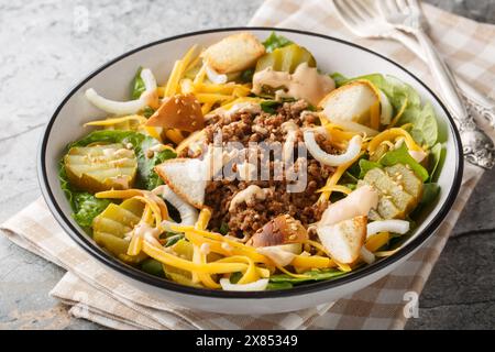 Cheeseburger, hamburger o insalata di cheto hamburger con lattuga croccante, salsa cremosa di hamburger, manzo macinato, sottaceti, formaggio e cipolle in primo piano sul recipiente Foto Stock