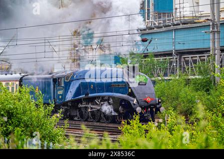 Una giornata di pioggia alla stazione di Warrington Bank Quay mentre la localita' A4 del Pacifico Sir Nigel Gresley va fuori a prendere il treno Saphos Stephenson Jubilee. Foto Stock