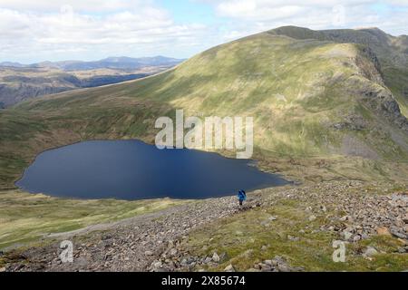 Lone Man (escursionista) camminando fino al Wainwright 'Fairfield' da Grisedale Hause sopra Grisedale Tarn nel Lake District National Park, Cumbria, Inghilterra Foto Stock