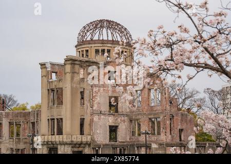 Hiroshima Peace Memorial alias Genbaku Dome (Atomic Bomb Dome). I ciliegi fioriscono in piena fioritura in Giappone. Foto Stock