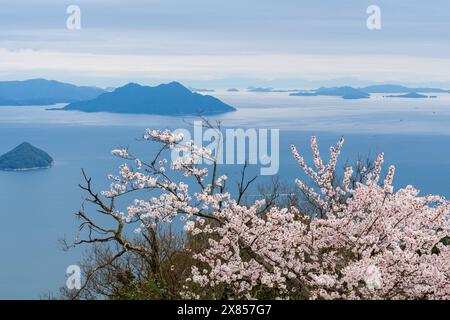 Isole del Mare interno di Seto con fiori di ciliegio in piena fioritura in primavera. Vista dal Monte Misen, dall'Isola Itsukushima Miyajima, Hiroshima, Giappone. Foto Stock