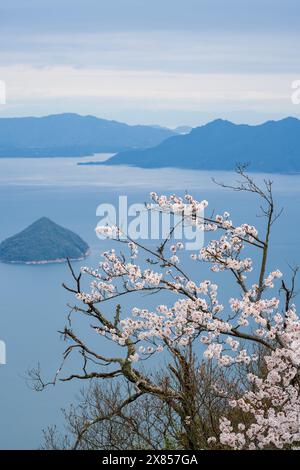 Isole del Mare interno di Seto con fiori di ciliegio in piena fioritura in primavera. Vista dal Monte Misen, dall'Isola Itsukushima Miyajima, Hiroshima, Giappone. Foto Stock