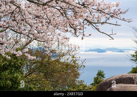 Isole del Mare interno di Seto con fiori di ciliegio in piena fioritura in primavera. Vista dal Monte Misen, dall'Isola Itsukushima Miyajima, Hiroshima, Giappone. Foto Stock