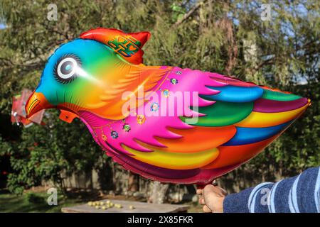 Palloncino in lamina di elio colorato a forma di uccello per le feste Foto Stock