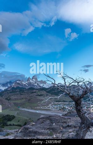 Un albero solitario sorge nel mezzo di una catena montuosa rocciosa con il Monte Fitz Roy e la città di El Chalten sullo sfondo. Foto Stock