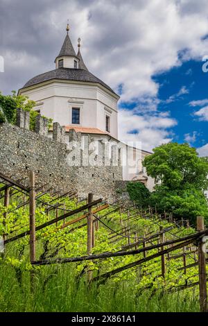 Vigna, Abbazia di Saben (Monastero di Sabiona), chiusa, alto Adige, alto Adige, alto Adige, Italia Foto Stock