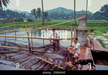 Filippine, Mindanao. I pescatori lavorano in un allevamento ittico. Foto Stock
