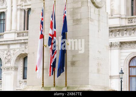 Londra Whitehall 23 maggio 2024 una banda militare e un plotone di soldati della forza di pace delle Nazioni Unite marciano lungo Whitehall per commemorare la giornata Internazionale dei pacificatori delle Nazioni Unite. NELLA FOTO: Bandiere delle nazioni del Commonwealth. BridgetCatterall/AlamyLiveNews Foto Stock