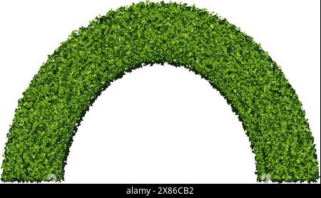 Siepe ad arco rotondo verde in cespugli di bosso isolata su sfondo bianco. Arco di piante con struttura a foglia. Architettura da giardino. Illustrazione vettoriale. Illustrazione Vettoriale