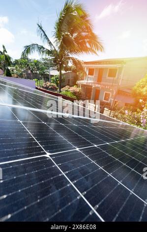 Tema energia solare rinnovabile. Pannello solare sul tetto con soleggiato sfondo tropicale Foto Stock