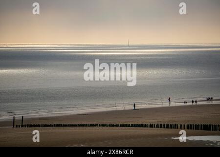 Atmosfera serale sulla spiaggia del Mare del Nord vicino a Zoutelande, Zelanda, pescatori, escursionisti, frangiflutti, paesi Bassi Foto Stock