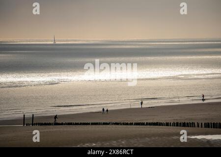 Atmosfera serale sulla spiaggia del Mare del Nord vicino a Zoutelande, Zelanda, pescatori, escursionisti, frangiflutti, paesi Bassi Foto Stock