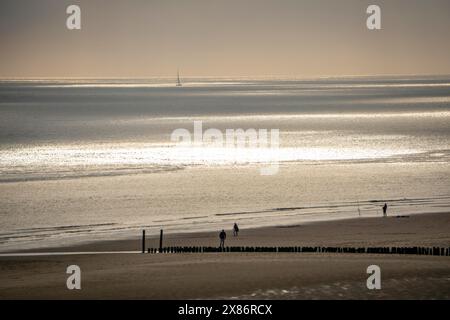 Atmosfera serale sulla spiaggia del Mare del Nord vicino a Zoutelande, Zelanda, pescatori, escursionisti, frangiflutti, paesi Bassi Foto Stock