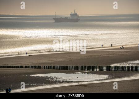 Atmosfera serale sulla spiaggia del Mare del Nord vicino a Zoutelande, Zelanda, pescatori, escursionisti, frangiflutti, nave da carico, Paesi Bassi Foto Stock