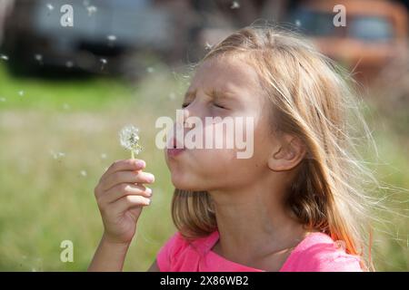 Primo piano di una bambina che soffia il dente di leone in un campo d'estate Foto Stock