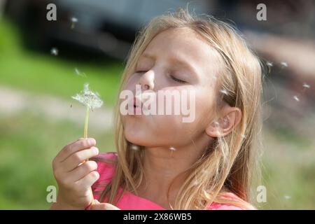 Primo piano di una bambina che soffia il dente di leone in un campo d'estate Foto Stock