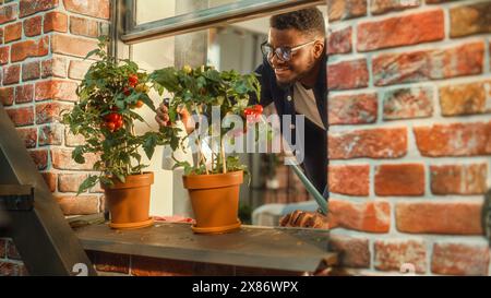 Giovane e affascinante uomo che spruzza e innaffia pomodori ecologici coltivati in casa, che vengono gettati su un davanzale vicino al suo elegante appartamento Loft. Coltivare verdure a casa in città. Foto Stock