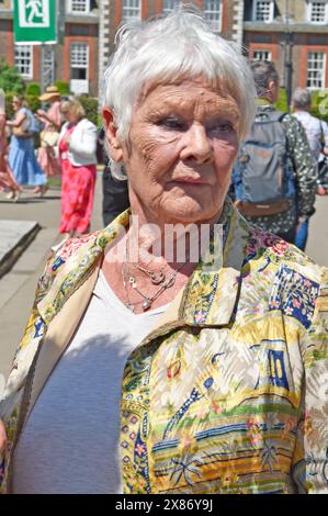 20 maggio 2024. Londra, Regno Unito. Dame Judi Dench al 2024 RHS Chelsea Flower Show di Londra. Sue Andrews/Alamy. Foto Stock