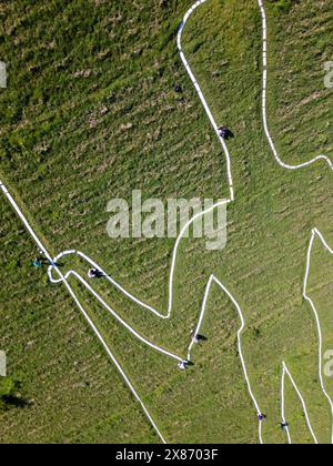 Wilmington, East Sussex, Regno Unito, 23/05/2024, Volunteers Below Paint the Long Man of Wilmington. La figura gigante sui ripidi pendii di Windover Hill è alta 72 metri e contiene due grondaie. Originariamente ritenuto neolitico, si pensa che sia ora del XVI o XVII secolo. La riverniciatura è il finale di una campagna di raccolta fondi a sostegno del lavoro della Sussex Archaeology Society (commerciale come Sussex Past), che possiede e si prende cura dell’iconica figura collinare nota come «The Guardian of the South Downs». La campagna ha raccolto oltre 10.000 sterline e ha visto quasi 300 donatori pagare 30,00 sterline per adottare uno dei 770 blocchi Foto Stock