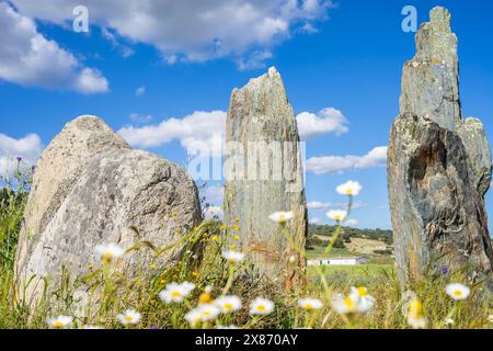 Cromlech di la Pasada del Abad (la Parada del Abad) Rosal de la Frontera, Huelva, Andalusia, Spagna Foto Stock