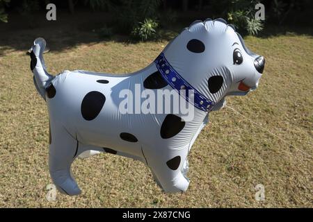 Palloncino in lamina di elio a forma di cane da cucciolo per decorazioni di festa Foto Stock