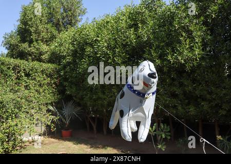 Palloncino in lamina di elio a forma di cane da cucciolo per decorazioni di festa Foto Stock