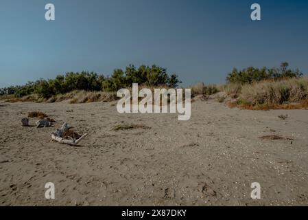 Spiaggia autunnale al Lido di Venezia con i detriti di alberi e dune abbandonate Foto Stock