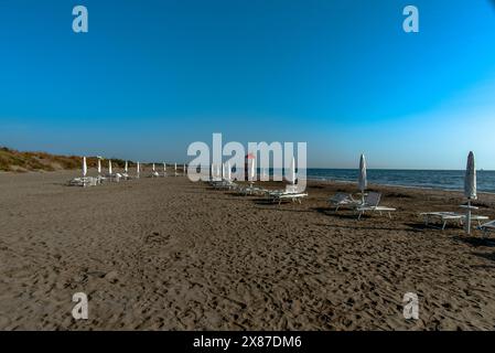 Spiaggia autunnale al Lido di Venezia con i detriti di alberi e dune abbandonate Foto Stock