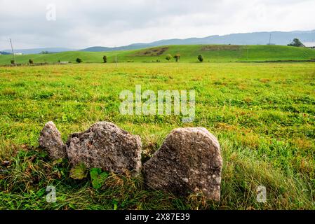 panorama dei prati verdi sull'altopiano di Asiago in provincia di Vicenza in Veneto Foto Stock