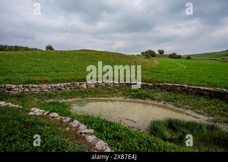 panorama dei prati verdi sull'altopiano di Asiago in provincia di Vicenza in Veneto Foto Stock