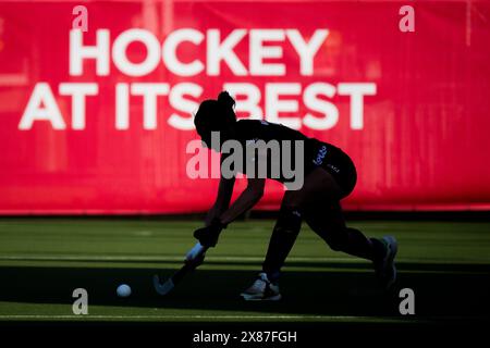 Anversa, Belgio. 23 maggio 2024. Stephanie Vanden Borre, in Belgio, è stata raffigurata in azione durante una partita di hockey tra la nazionale belga delle Panthers rosse e l'India, partita 6/16 nella fase a gironi della FIH Pro League femminile 2024, giovedì 23 maggio 2024, ad Anversa. BELGA PHOTO JASPER JACOBS credito: Belga News Agency/Alamy Live News Foto Stock