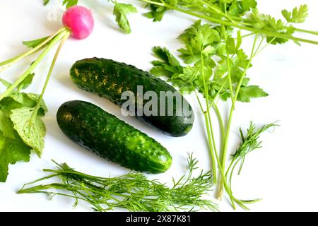 Cetriolo verde fresco, un ravanello rosso con foglie e prezzemolo verde. Foto Stock